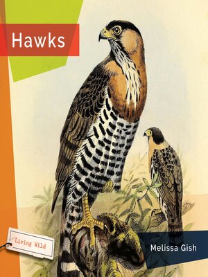 cover image of Hawks